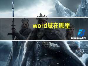 word域在哪里
