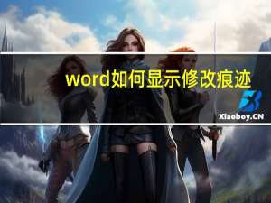 word如何显示修改痕迹