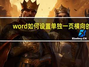 word如何设置单独一页横向的（word如何设置单独一页横向）