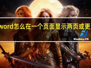 word怎么在一个页面显示两页或更多页面
