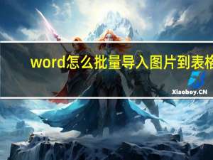 word怎么批量导入图片到表格（word怎么批量导入图片）