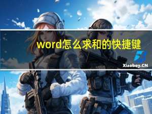 word怎么求和的快捷键（word怎么求和）