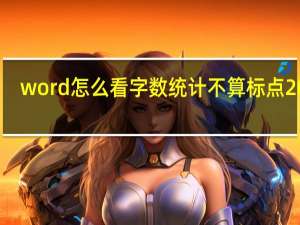 word怎么看字数统计不算标点2003（word怎么看字数统计）