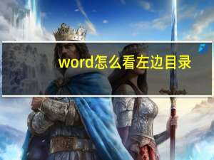 word怎么看左边目录（word怎么看字数）