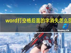 word打空格后面的字消失怎么回事