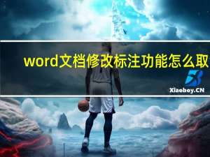 word文档修改标注功能怎么取消