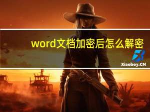 word文档加密后怎么解密（word文档加密）