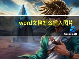 word文档怎么插入图片（wood文档）