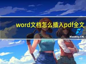 word文档怎么插入pdf全文（word文档怎么插入pdf）