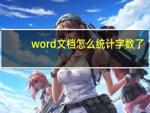word文档怎么统计字数了（word文档怎么统计字数）