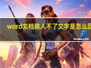 word文档输入不了文字是怎么回事