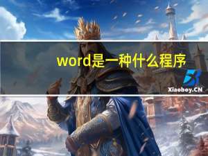 word是一种什么程序