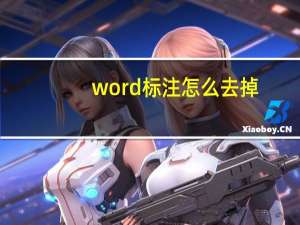 word标注怎么去掉