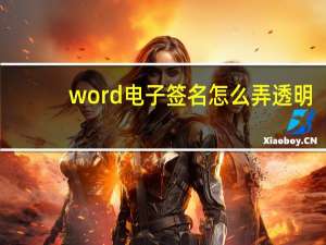 word电子签名怎么弄透明