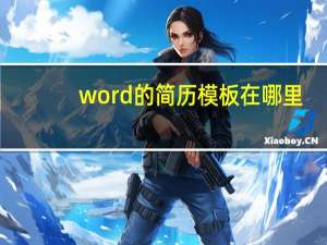 word的简历模板在哪里