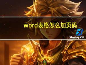 word表格怎么加页码（word表格怎么加斜线）