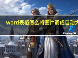 word表格怎么将图片调成自动大小（word表格怎么加斜线）