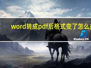 word转成pdf后格式变了怎么办（WORD转成PDF）