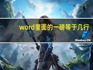 word里面的一磅等于几行