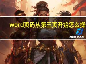 word页码从第三页开始怎么操作（word页码从第三页开始）