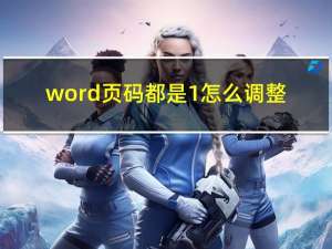 word页码都是1怎么调整（word页码都是1怎么改）