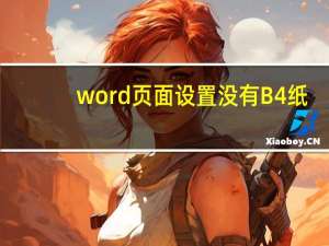 word页面设置没有B4纸（word页面设置没有b5）