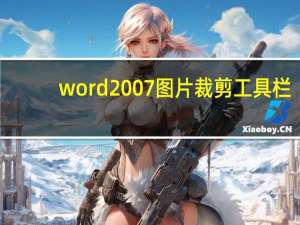 word2007图片裁剪工具栏（word2007图片裁剪工具）