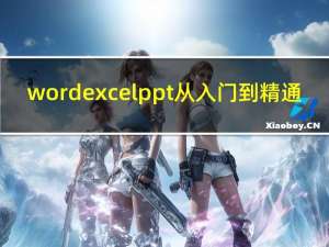 word excel ppt 从入门到精通（word 教程）