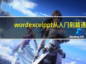 word excel ppt 从入门到精通（word 教程）