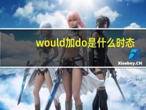 would加do是什么时态