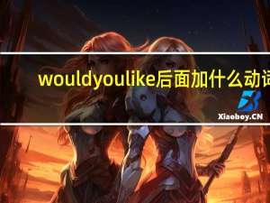 would you like后面加什么动词