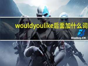 would you like 后面加什么词
