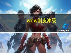 wow制皮冲级（wow制皮）