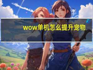 wow单机怎么提升宠物