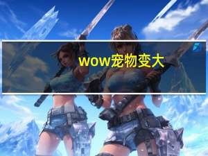 wow宠物变大
