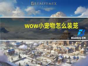 wow小宠物怎么装笼