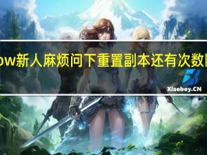 wow新人麻烦问下重置副本还有次数限制的吗