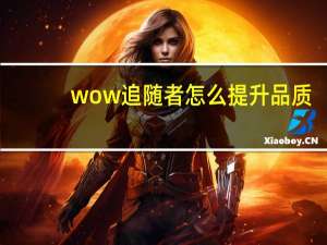 wow追随者怎么提升品质（wow追随者）