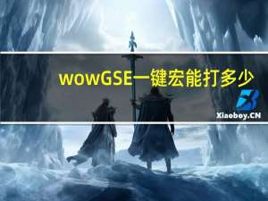 wowGSE一键宏能打多少（wow gs）