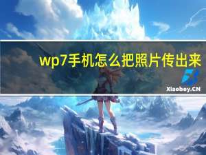 wp7手机怎么把照片传出来（wp7手机）
