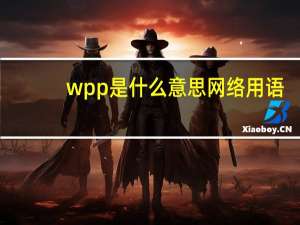 wpp是什么意思网络用语（wpp是什么意思）