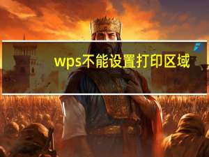 wps不能设置打印区域（wps打印区域设置为什么打不满）