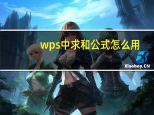 wps中求和公式怎么用（wps求和公式怎么输入）