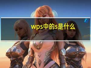 wps中的s是什么