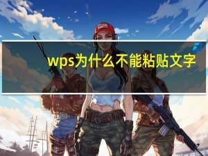 wps为什么不能粘贴文字