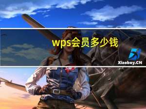 wps会员多少钱