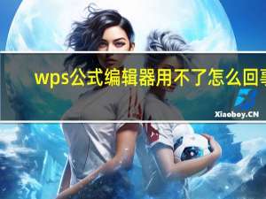 wps公式编辑器用不了怎么回事（wps公式编辑器不能用）