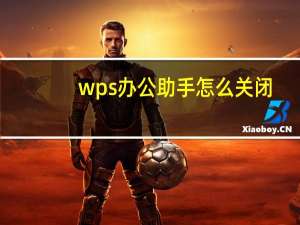 wps办公助手怎么关闭