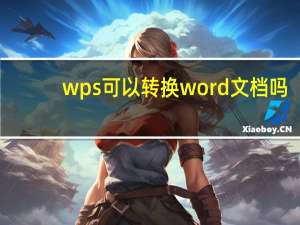 wps可以转换word文档吗