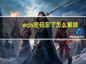 wps密码忘了怎么解除